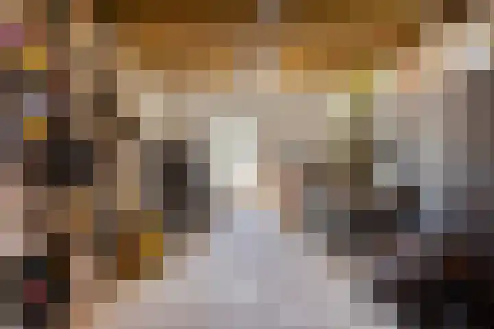 Hagerpad 3 Veldhoven thumbnail 29
