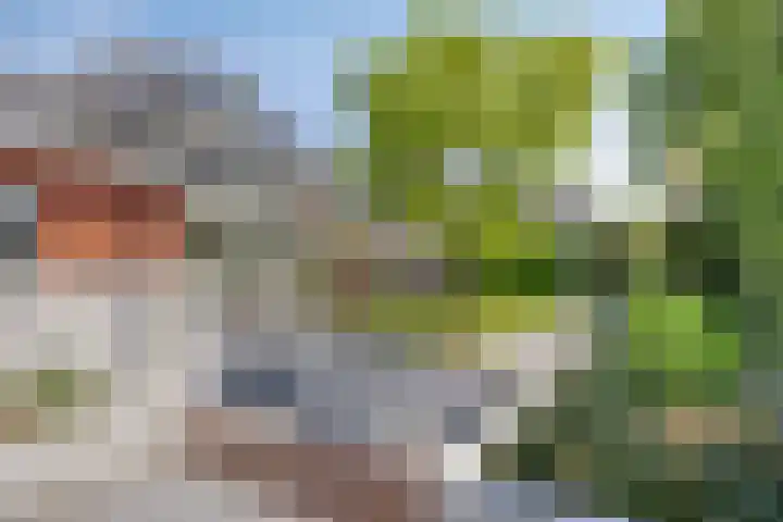 Hagerpad 3 Veldhoven thumbnail 58