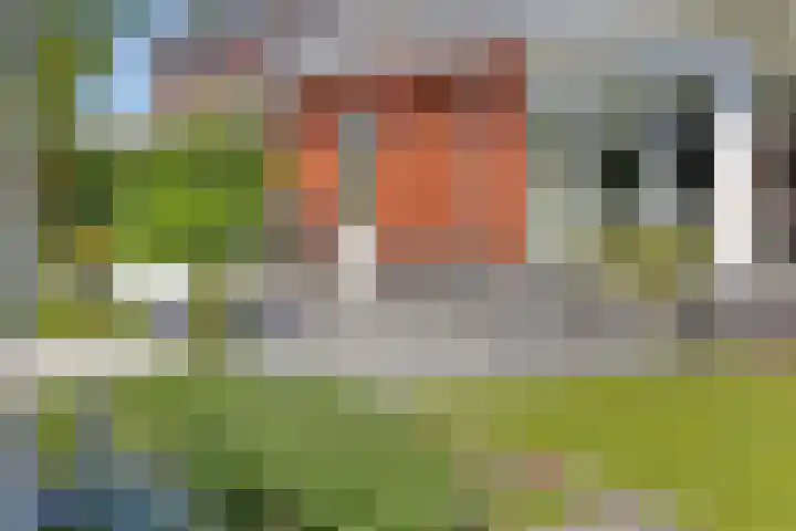 Hagerpad 3 Veldhoven thumbnail 63