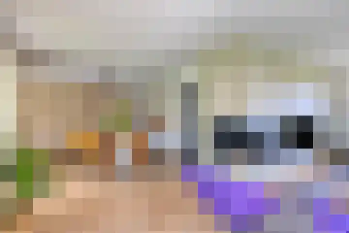 Hagerpad 3 Veldhoven thumbnail 7