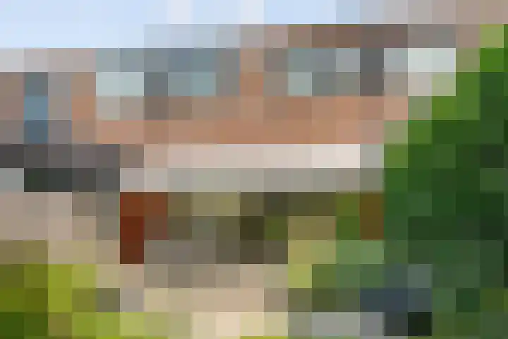 Hagerpad 36 Veldhoven thumbnail 47