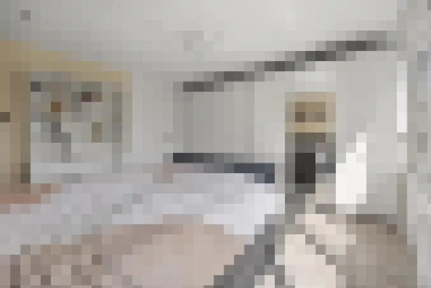 Hagerspas 7 Beuningen Gld thumbnail 31