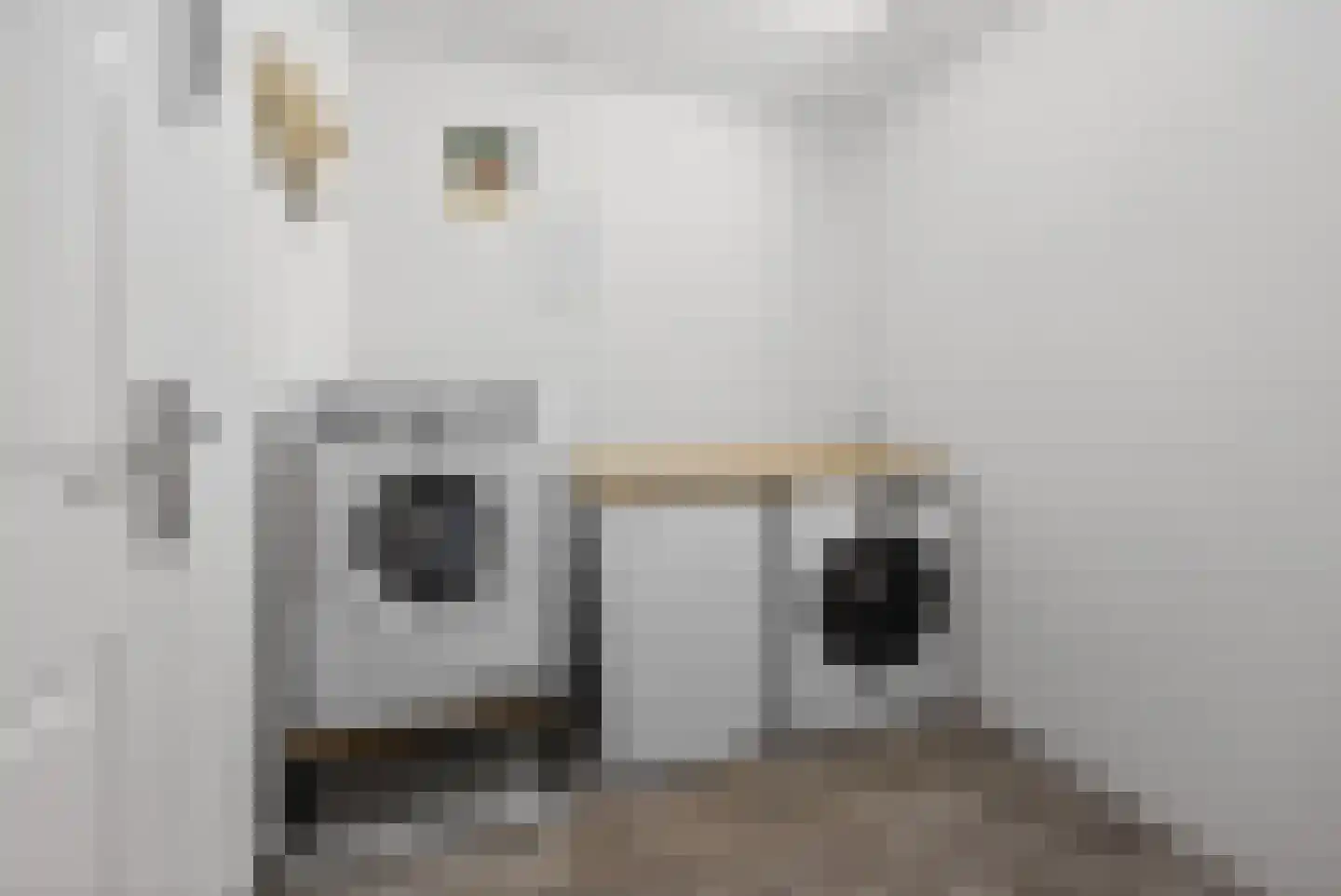 Hagerspas 7 Beuningen Gld thumbnail 37