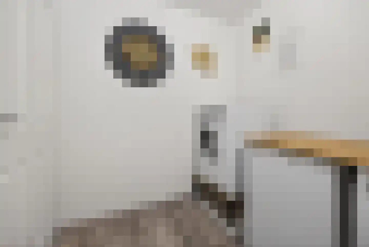 Hagerspas 7 Beuningen Gld thumbnail 38