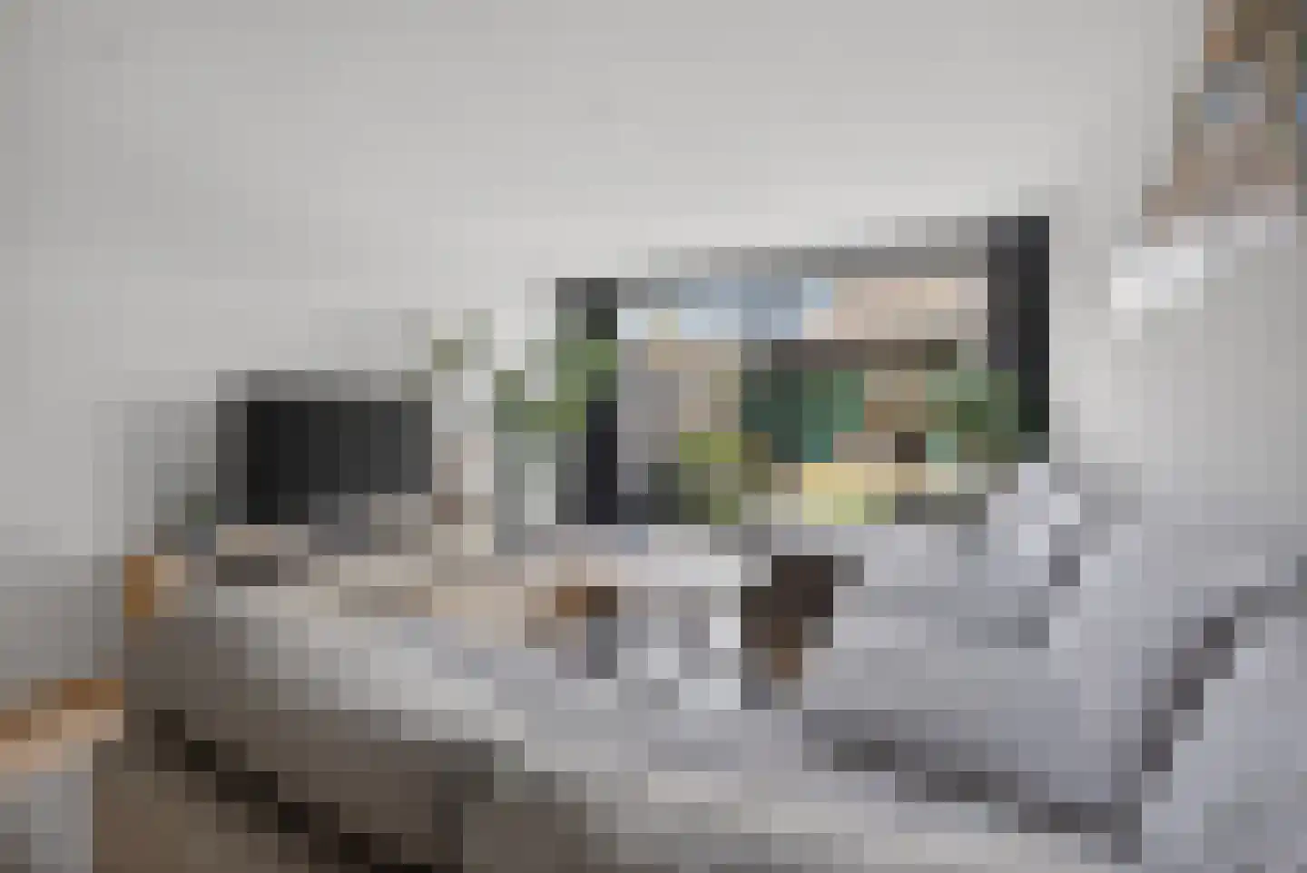 Hagerspas 7 Beuningen Gld thumbnail 6