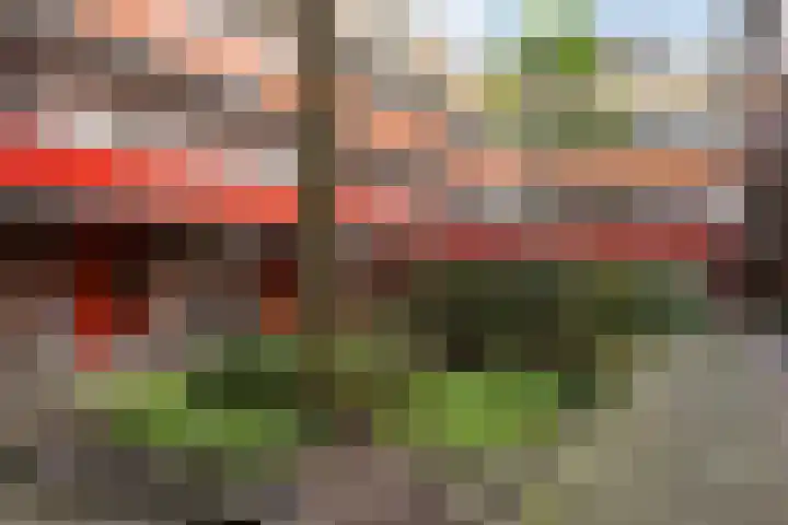 Hagestede 101 Nieuwegein thumbnail 18