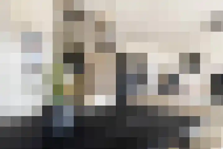 Hagestede 49 Nieuwegein thumbnail 21