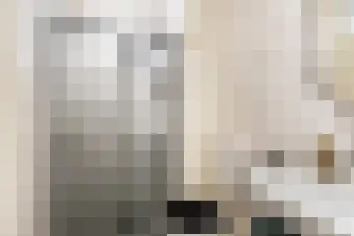 Hagestede 49 Nieuwegein thumbnail 33