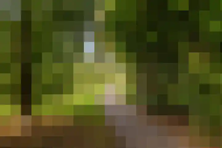 Hagestede 49 Nieuwegein thumbnail 36
