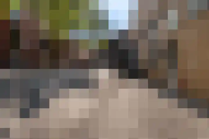 Hagestede 49 Nieuwegein thumbnail 38