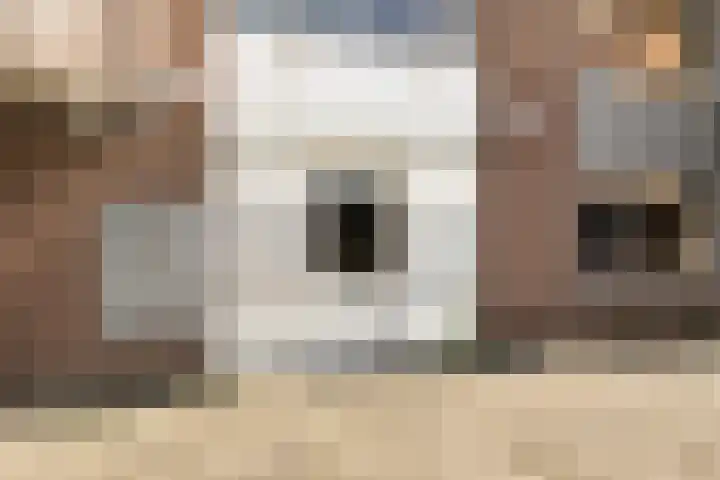 Hagestede 49 Nieuwegein thumbnail 6