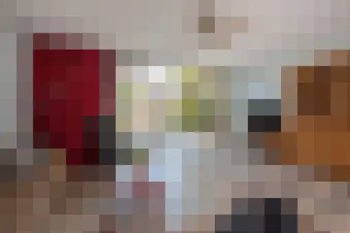 Hagesteinstraat 34 Zoetermeer thumbnail 10