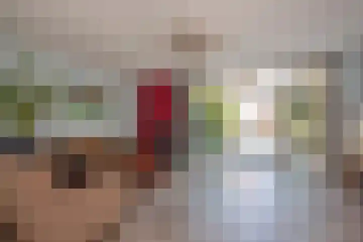 Hagesteinstraat 34 Zoetermeer thumbnail 11