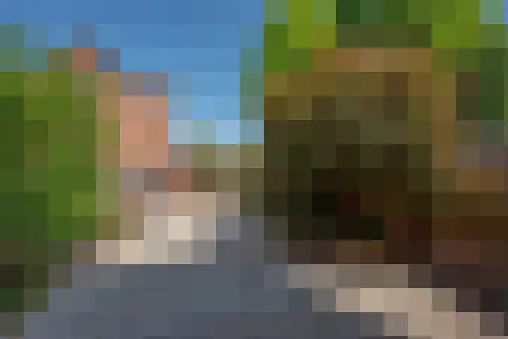 Hagesteinstraat 34 Zoetermeer thumbnail 13
