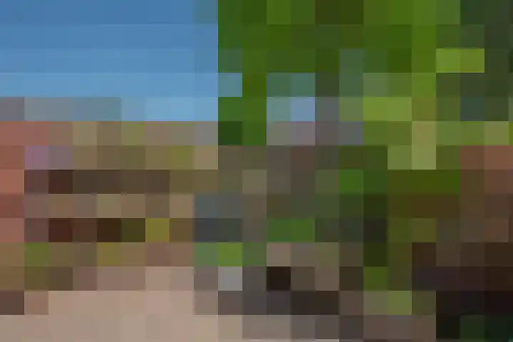 Hagesteinstraat 34 Zoetermeer thumbnail 15