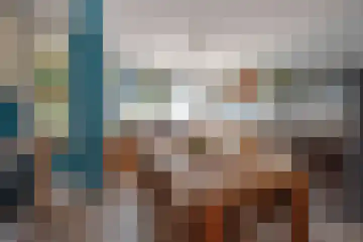Hagesteinstraat 34 Zoetermeer thumbnail 19