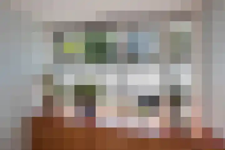 Hagesteinstraat 34 Zoetermeer thumbnail 21