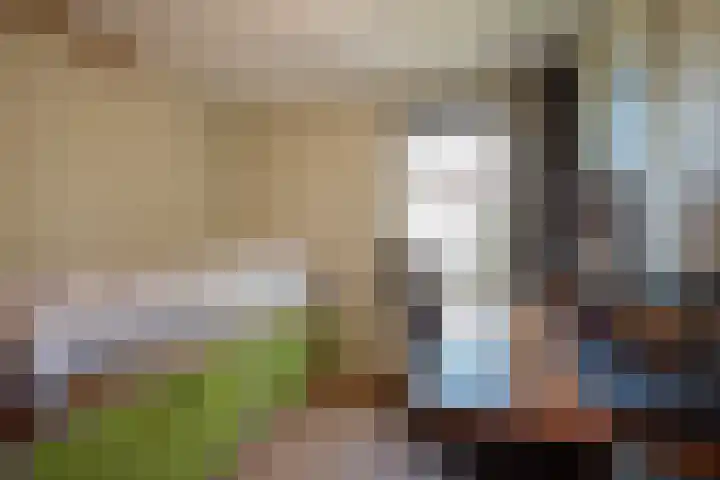 Hagesteinstraat 34 Zoetermeer thumbnail 25