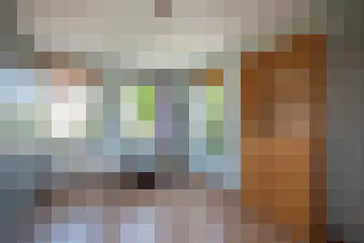 Hagesteinstraat 34 Zoetermeer thumbnail 26