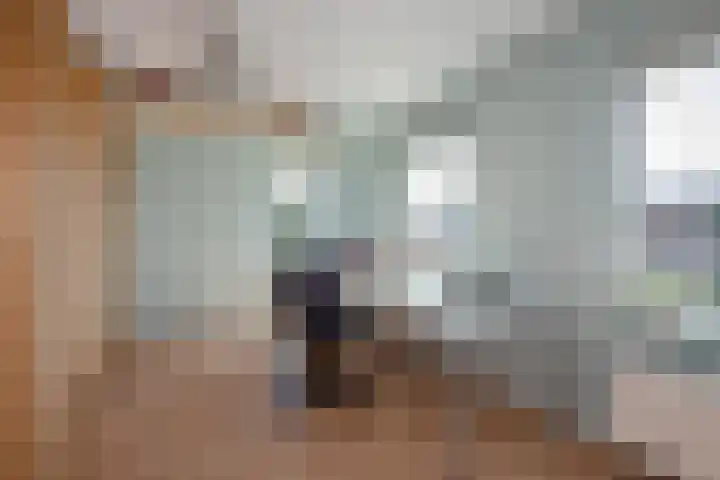 Hagesteinstraat 34 Zoetermeer thumbnail 39