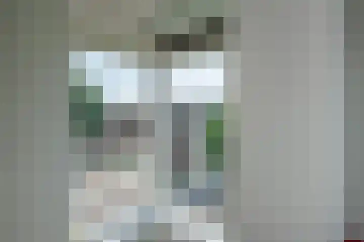 Hagesteinstraat 34 Zoetermeer thumbnail 40