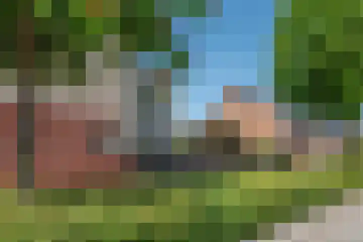 Hagesteinstraat 34 Zoetermeer thumbnail 42
