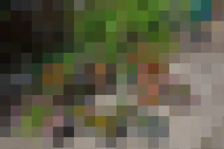 Hagesteinstraat 34 Zoetermeer thumbnail 44