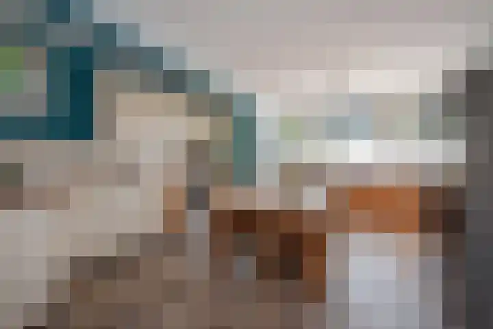 Hagesteinstraat 34 Zoetermeer thumbnail 5
