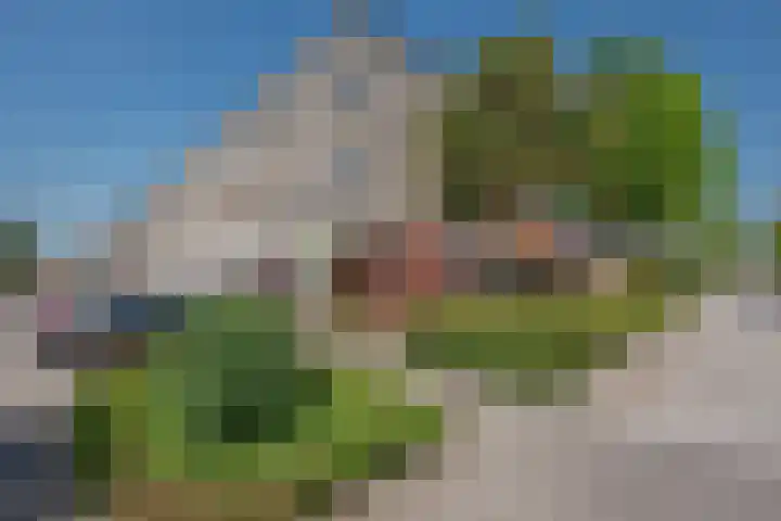 Hagesteinstraat 34 Zoetermeer thumbnail 6