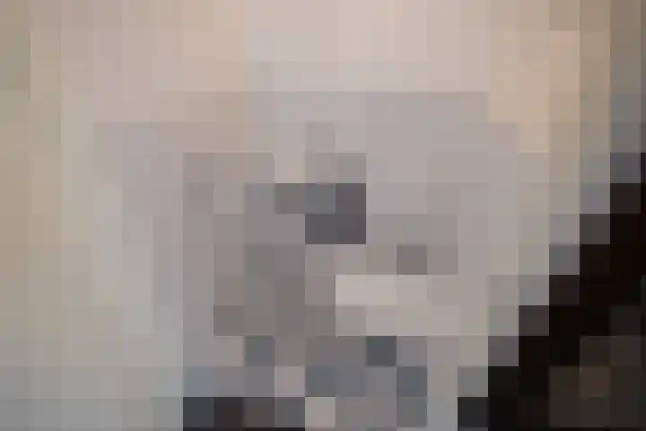 Hagesteinstraat 34 Zoetermeer thumbnail 9