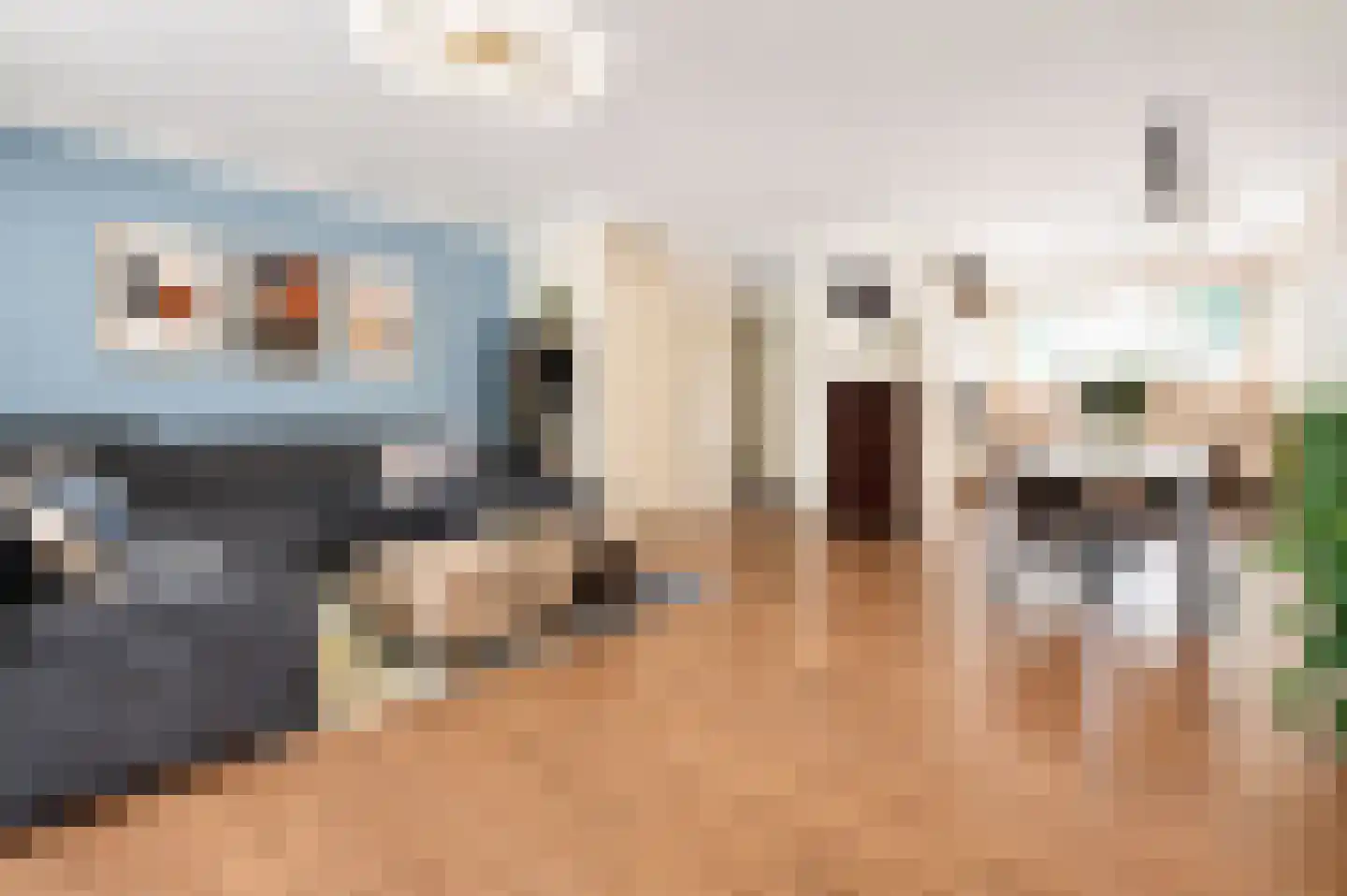 Hagesteinstraat 4 Zoetermeer thumbnail 10