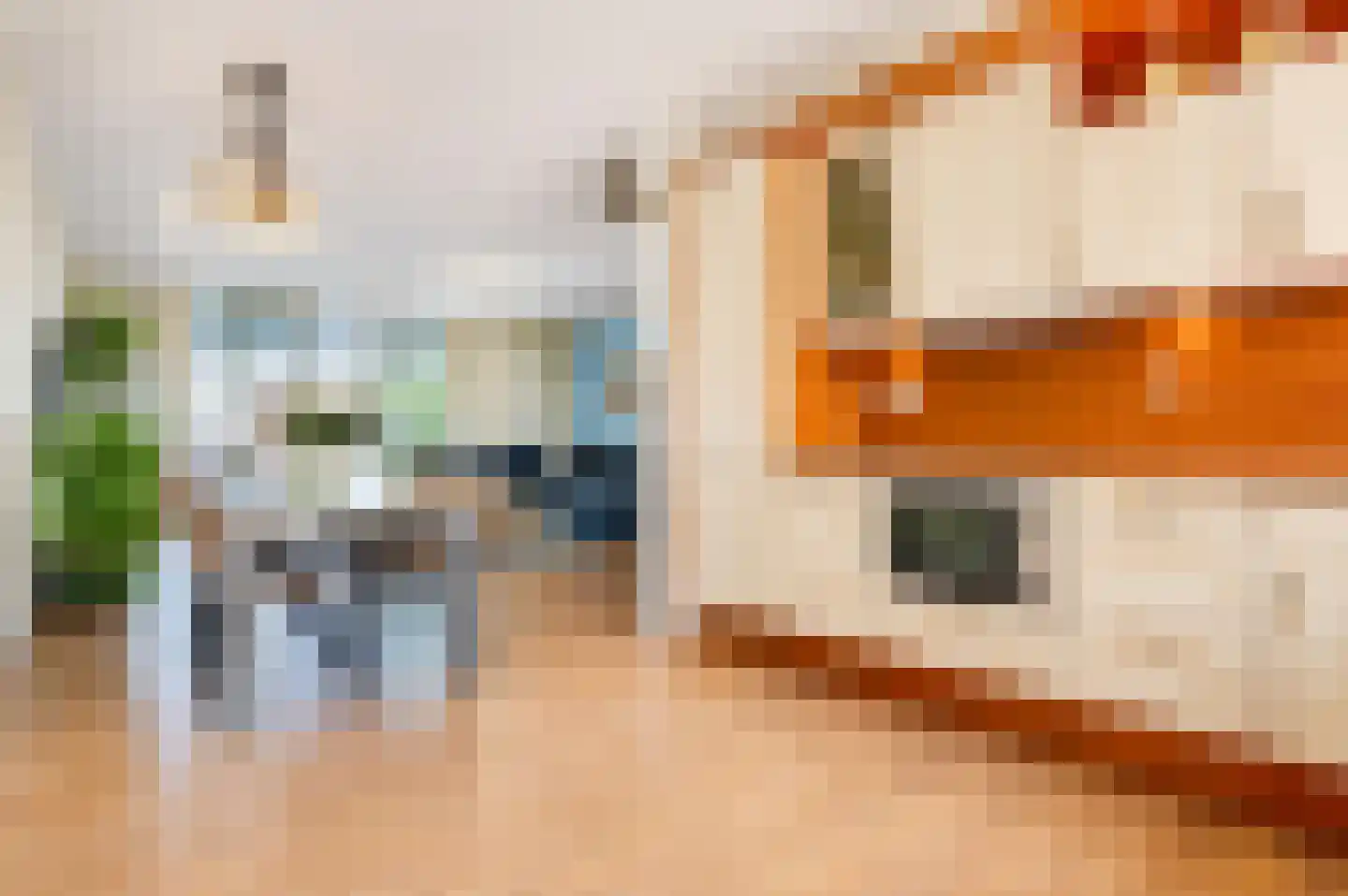 Hagesteinstraat 4 Zoetermeer thumbnail 13