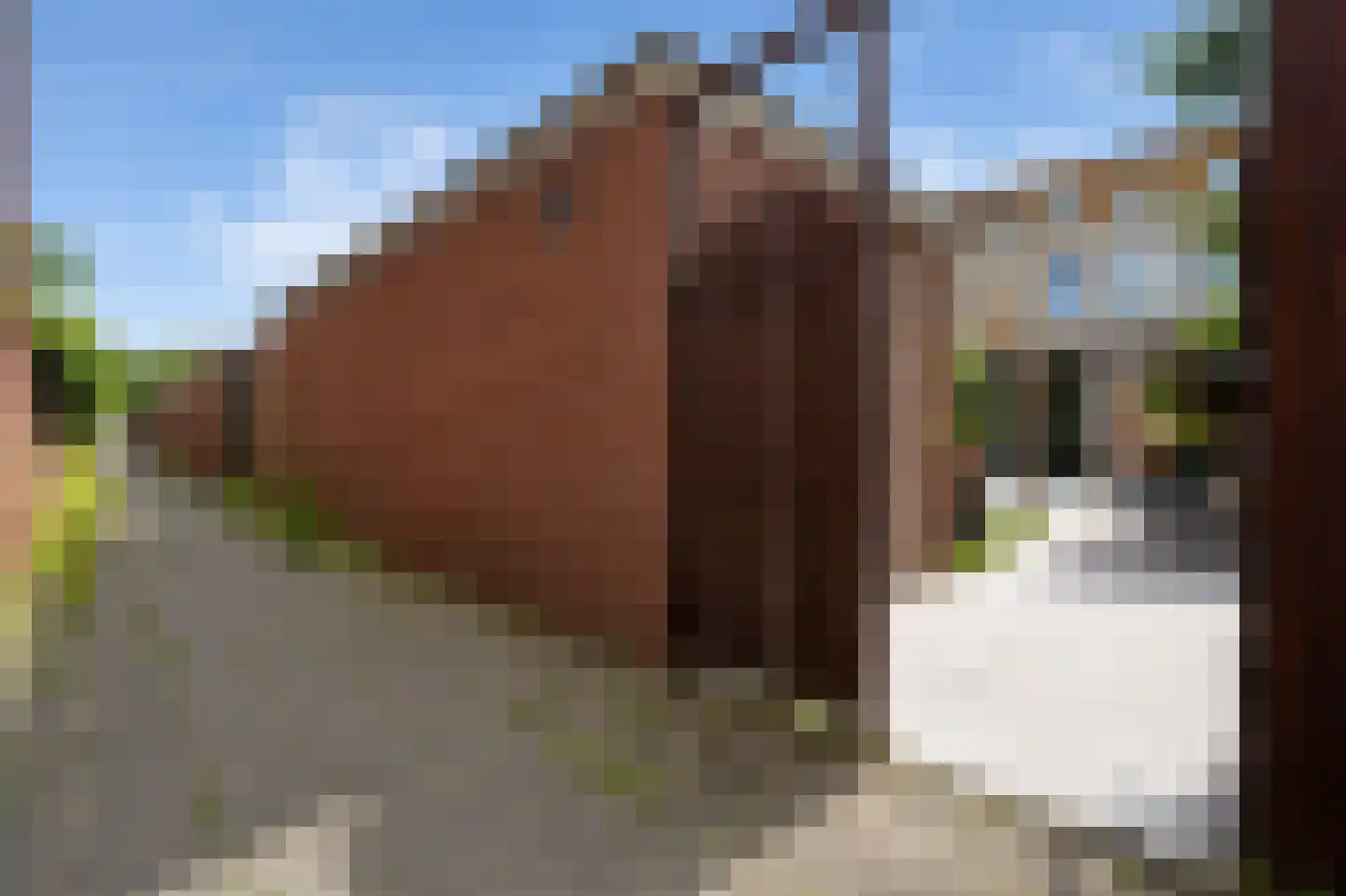 Hagesteinstraat 4 Zoetermeer thumbnail 19