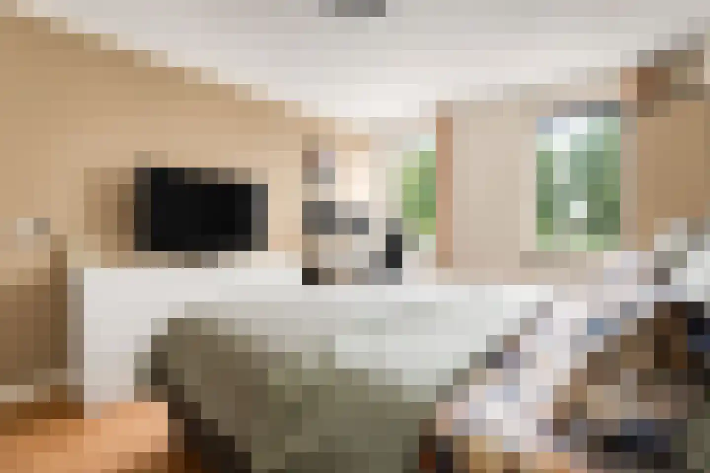 Hagesteinstraat 4 Zoetermeer thumbnail 23