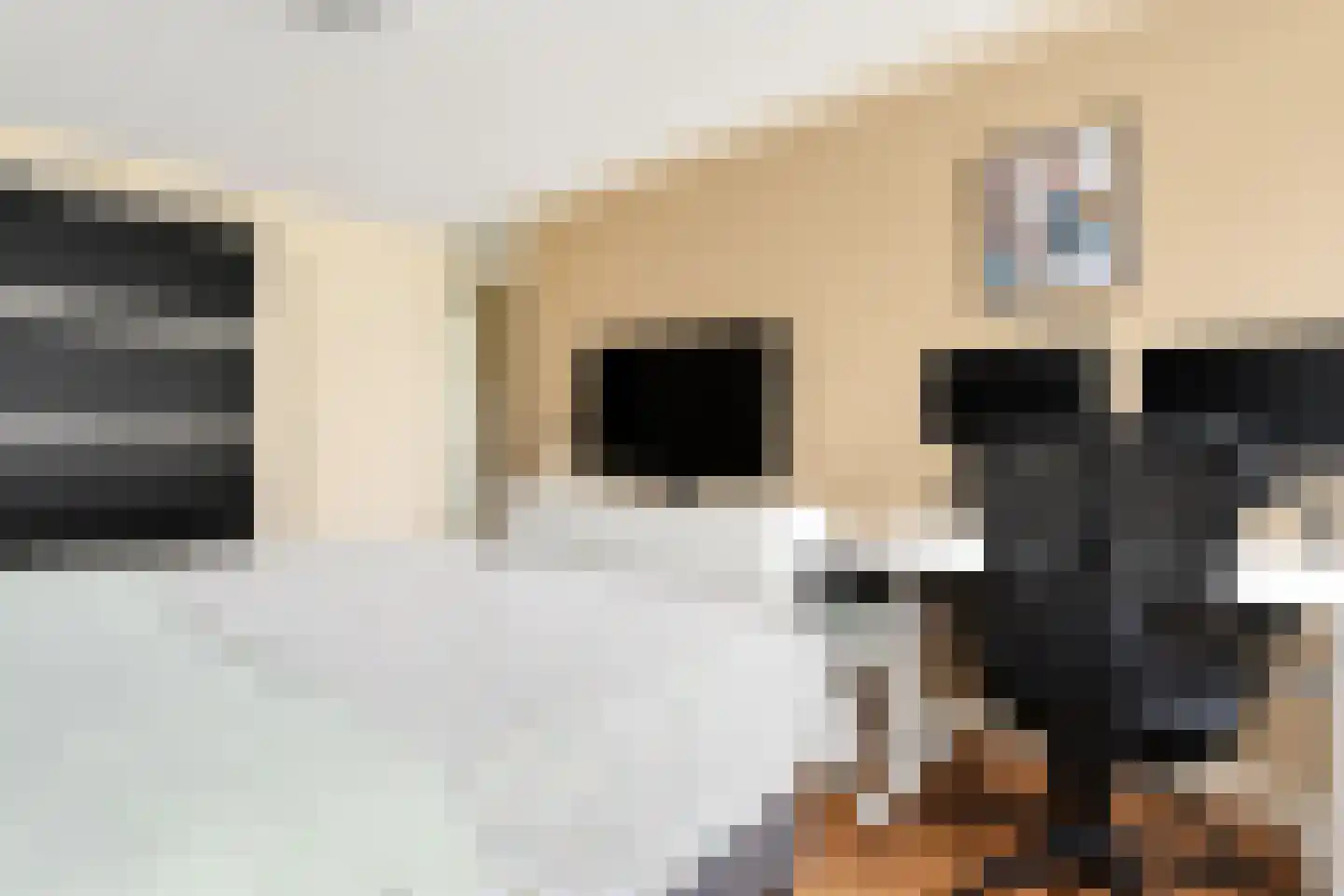 Hagesteinstraat 4 Zoetermeer thumbnail 24