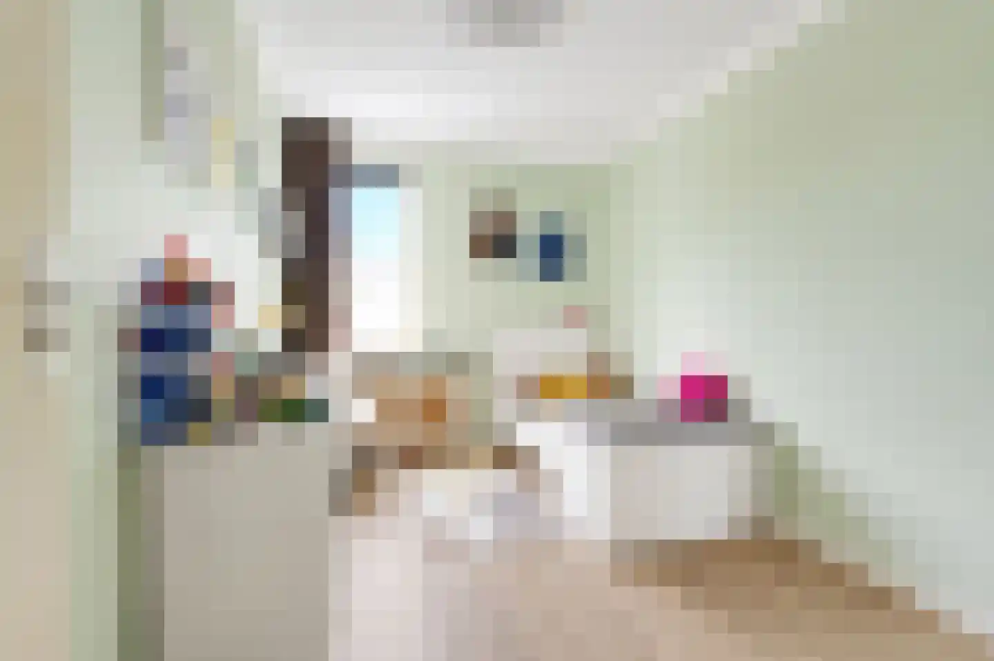 Hagesteinstraat 4 Zoetermeer thumbnail 25