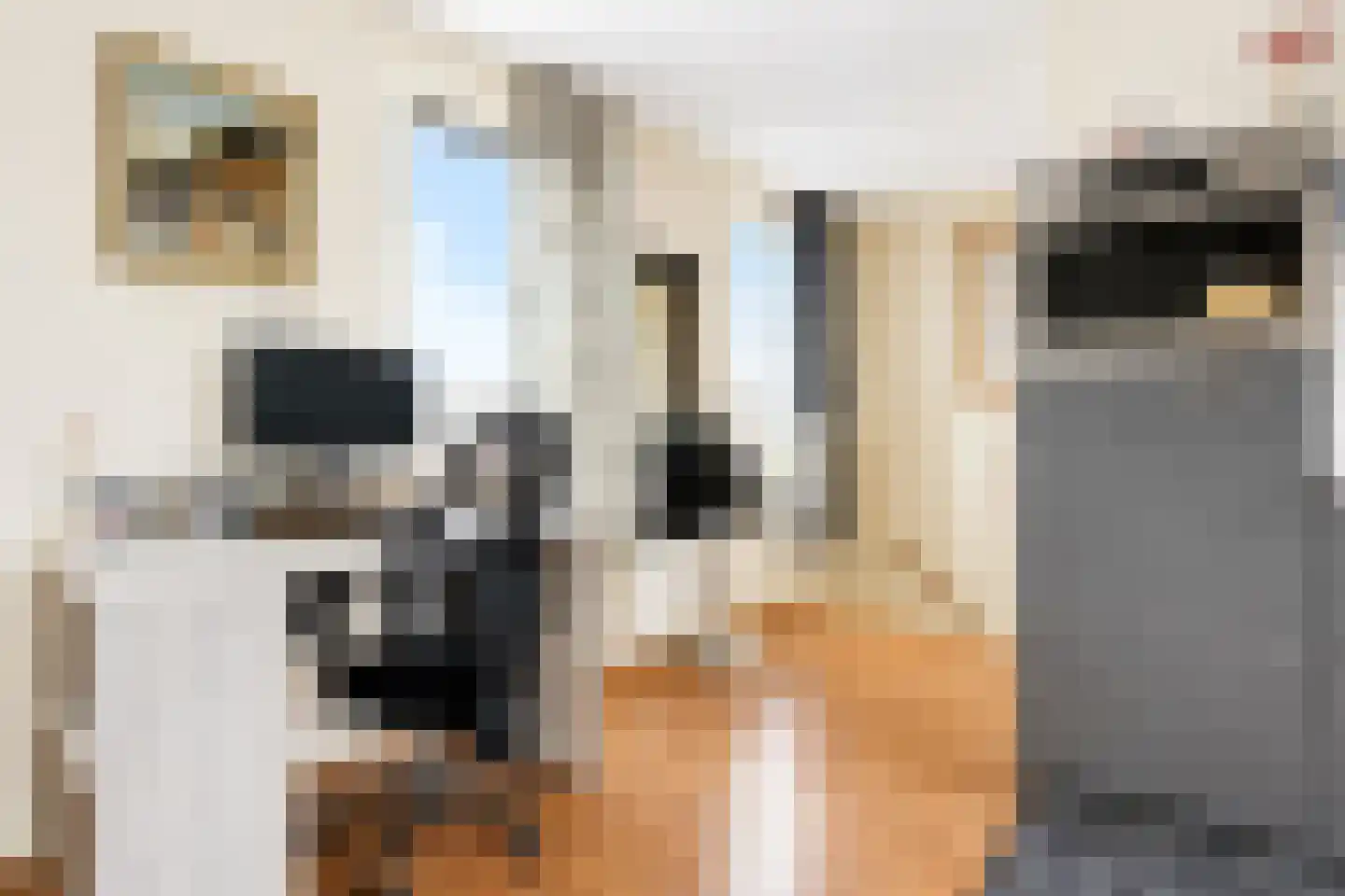 Hagesteinstraat 4 Zoetermeer thumbnail 29