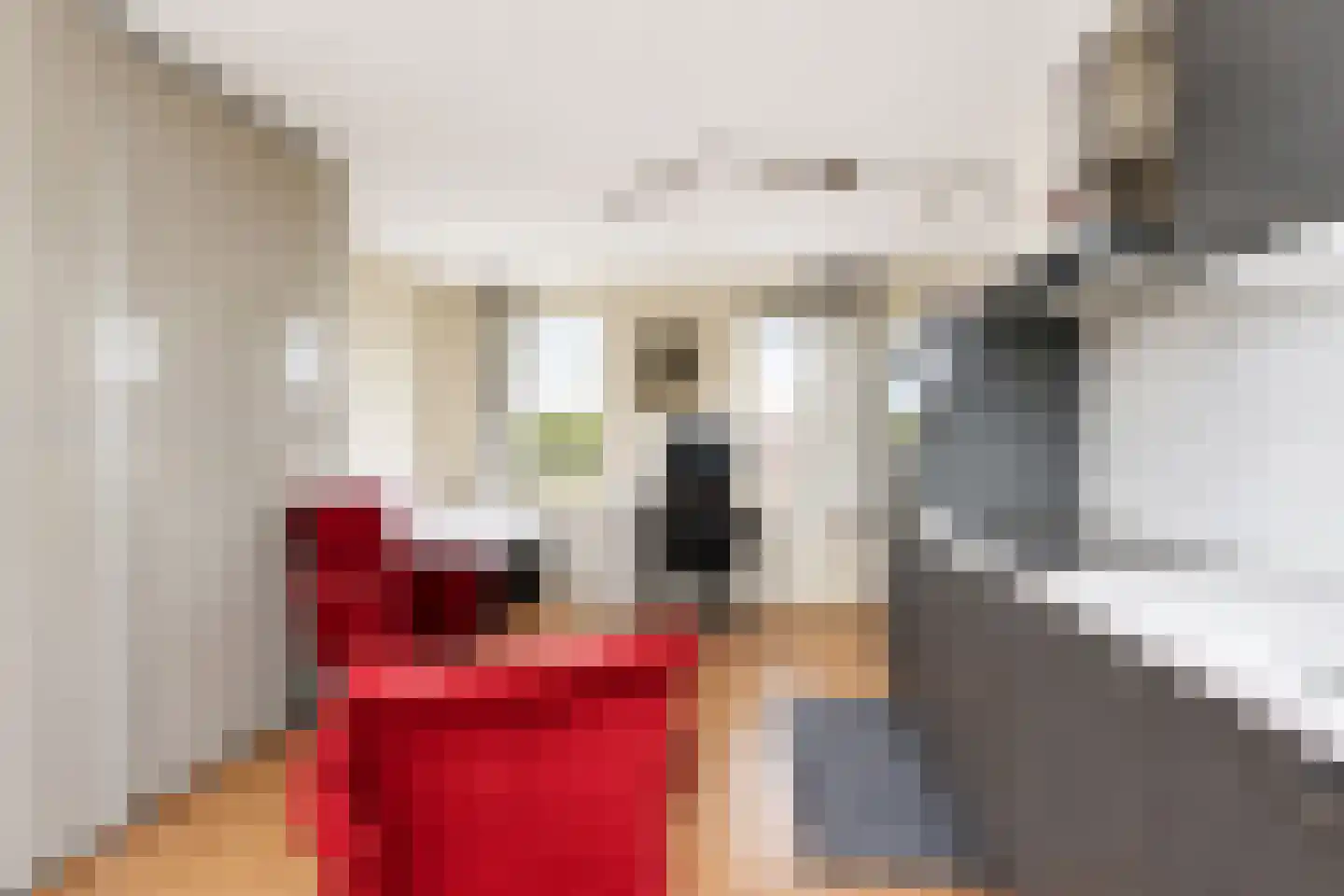 Hagesteinstraat 4 Zoetermeer thumbnail 30