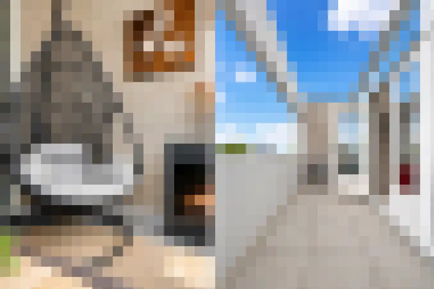 Hagesteinstraat 4 Zoetermeer thumbnail 34