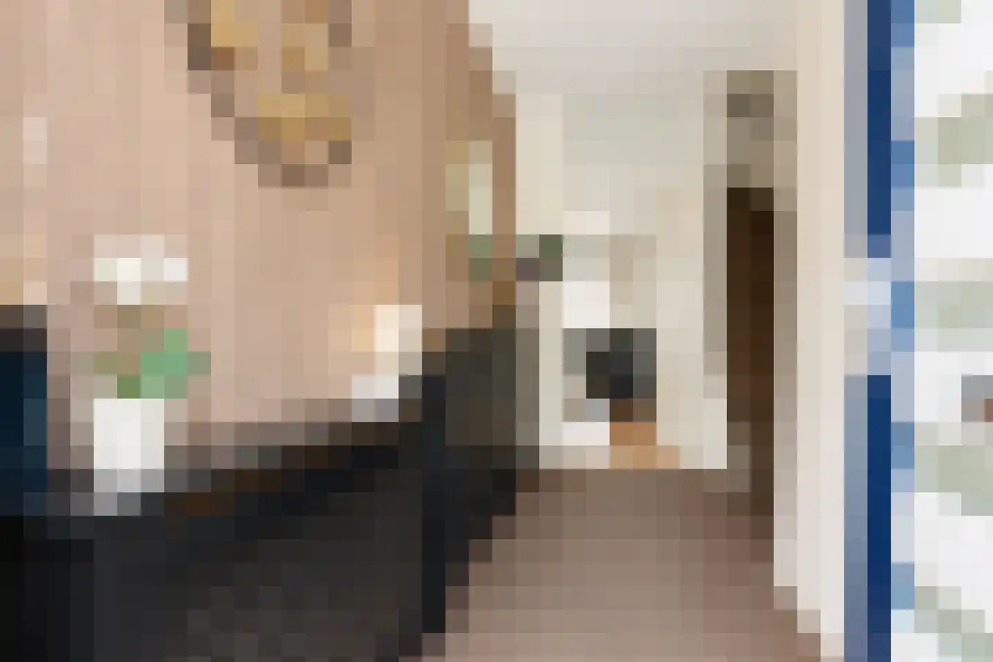 Hagesteinstraat 4 Zoetermeer thumbnail 4