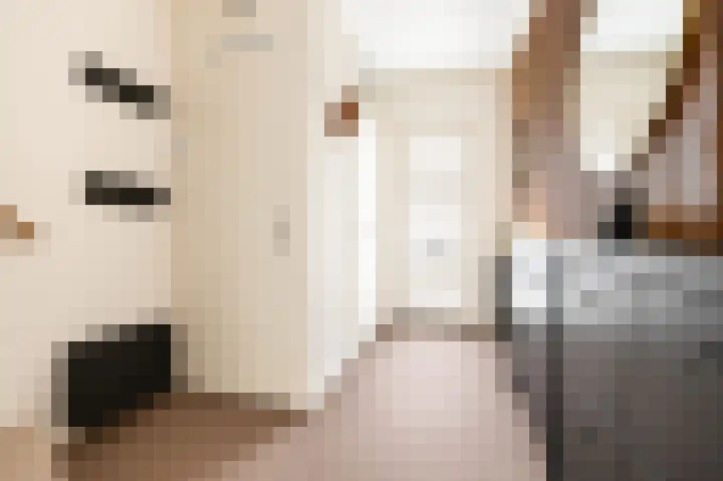 Hagesteinstraat 4 Zoetermeer thumbnail 5