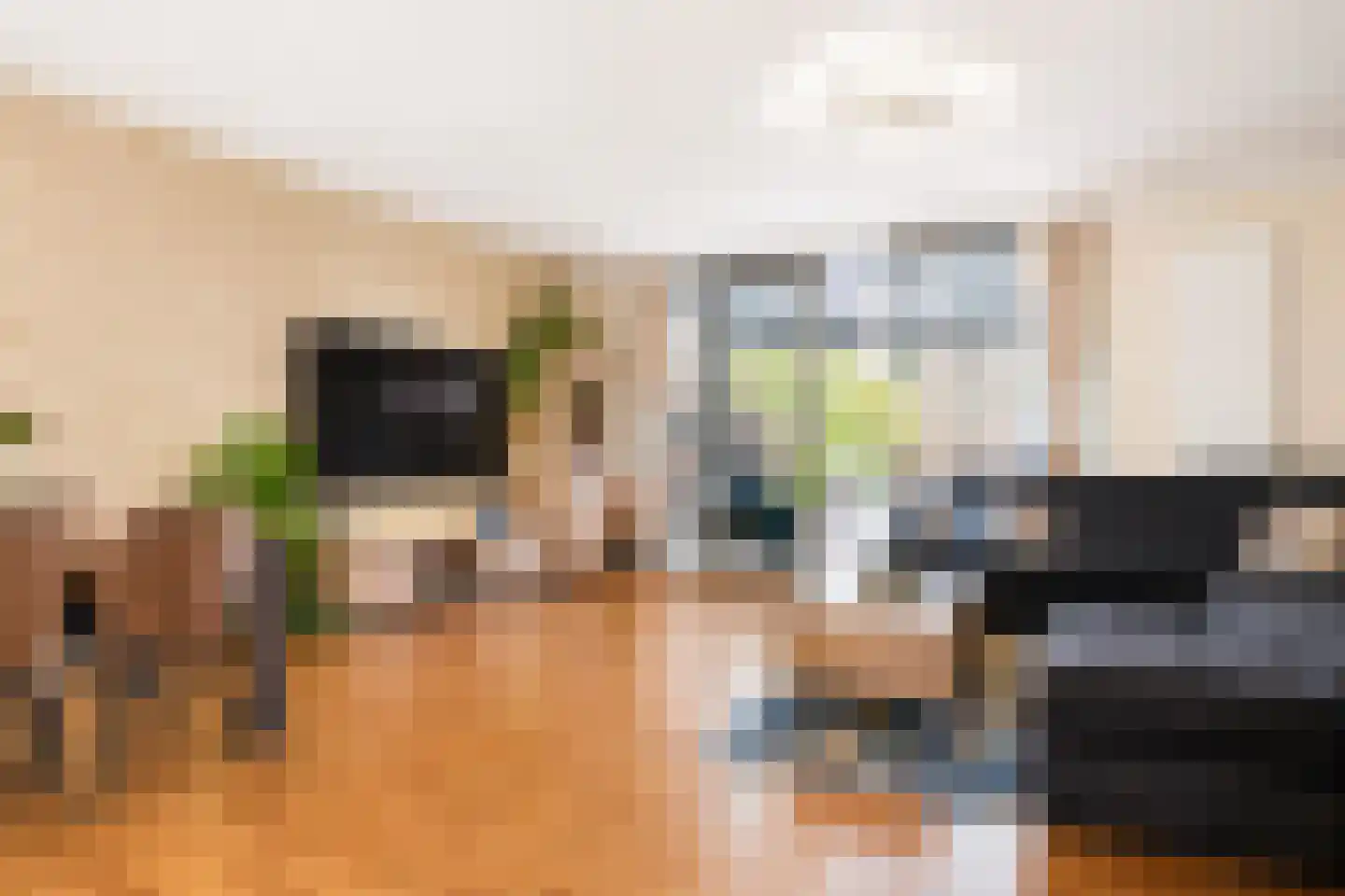 Hagesteinstraat 4 Zoetermeer thumbnail 7
