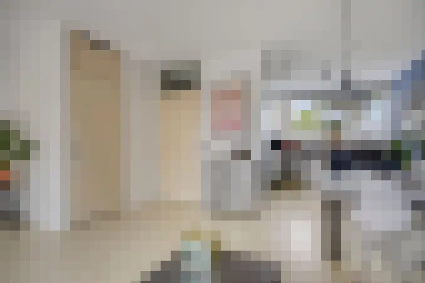 Hagesteinstraat 60 Zoetermeer thumbnail 11
