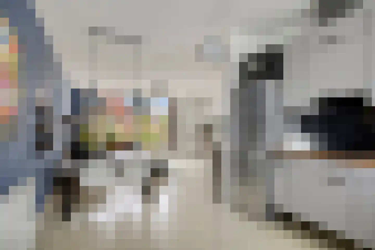 Hagesteinstraat 60 Zoetermeer thumbnail 14
