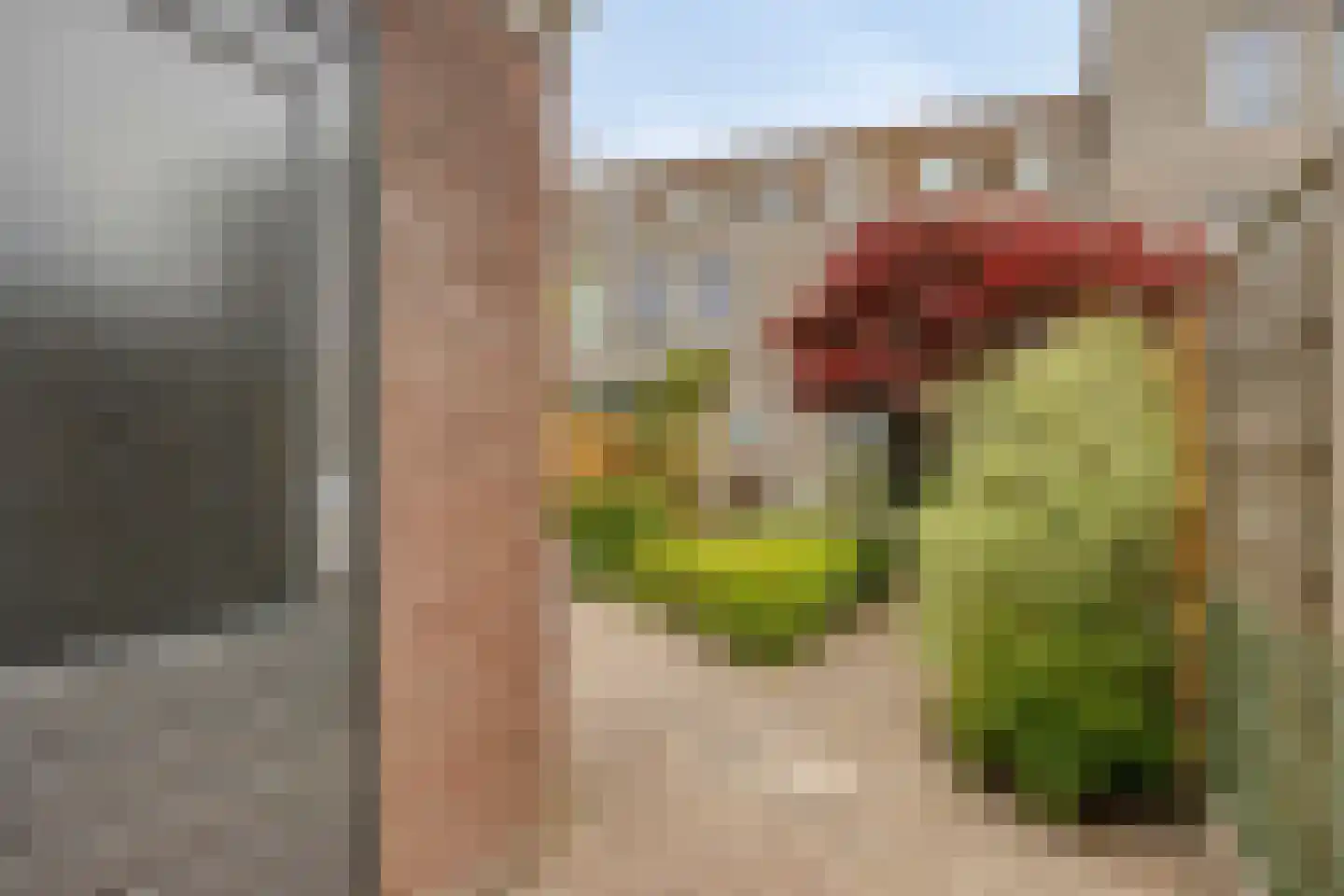 Hagesteinstraat 60 Zoetermeer thumbnail 17
