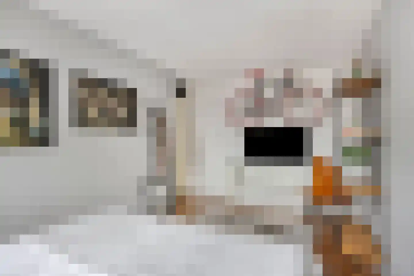Hagesteinstraat 60 Zoetermeer thumbnail 23