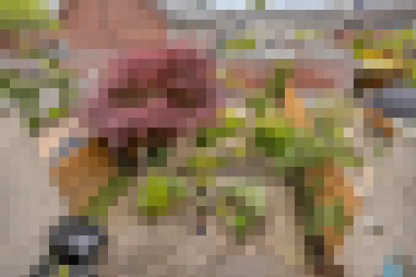 Hagesteinstraat 60 Zoetermeer thumbnail 24