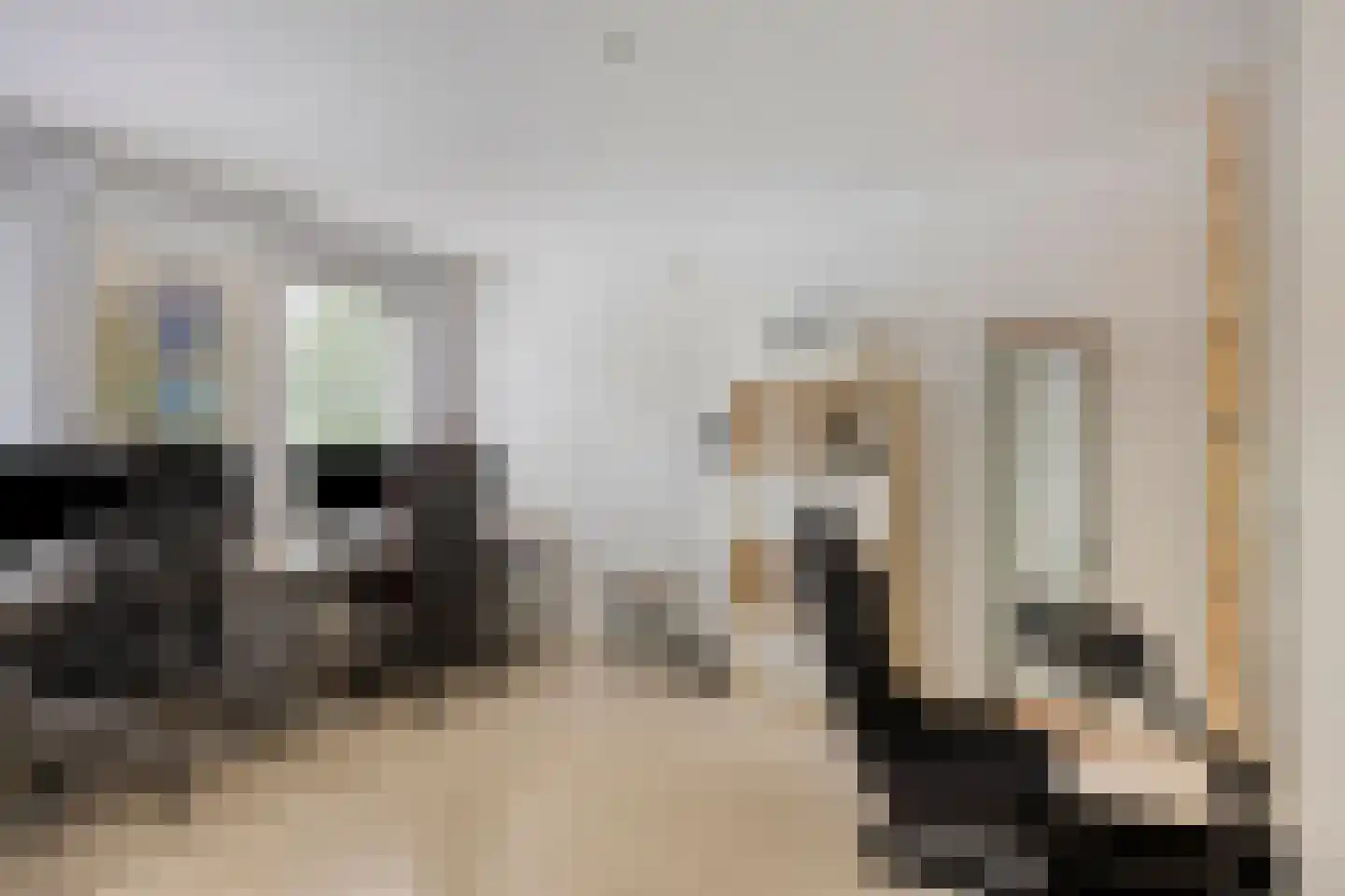 Hagesteinstraat 60 Zoetermeer thumbnail 25