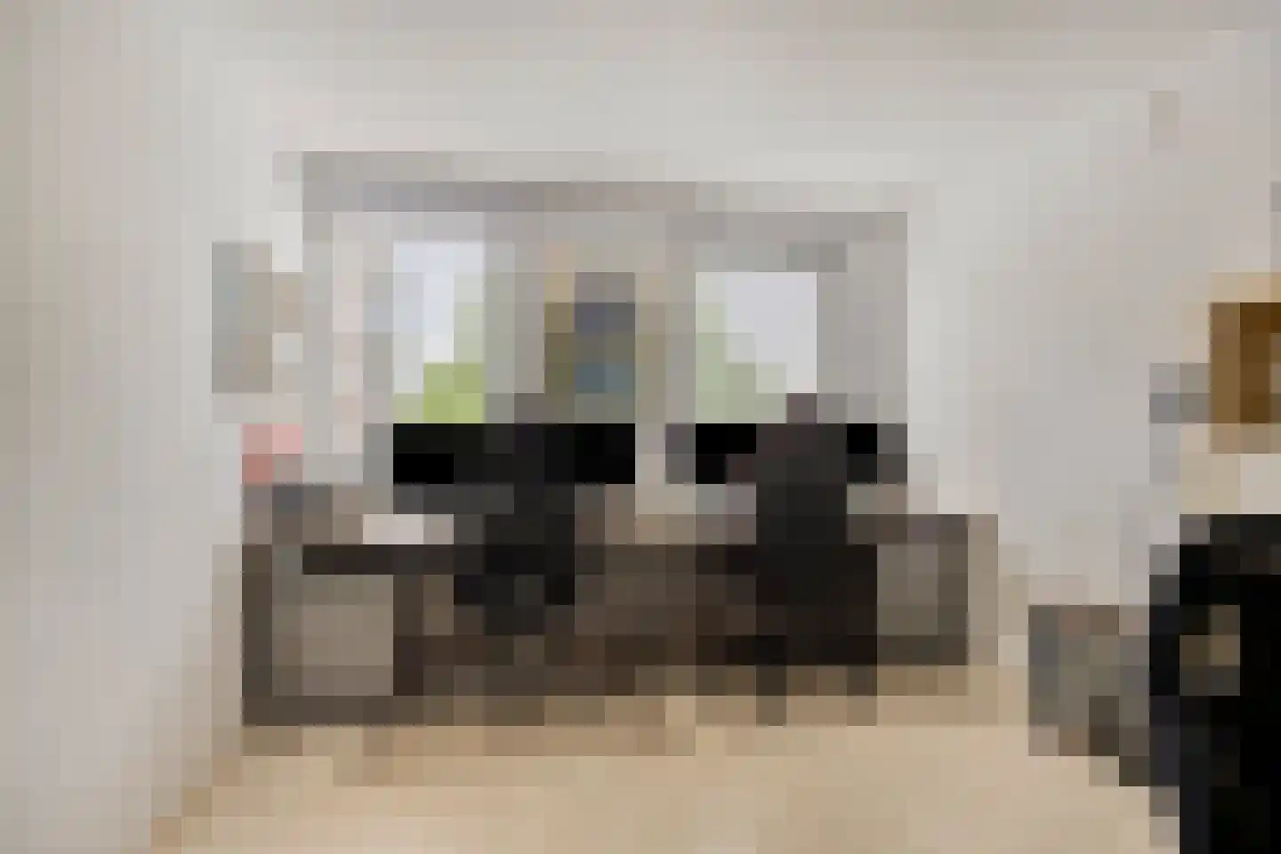Hagesteinstraat 60 Zoetermeer thumbnail 26