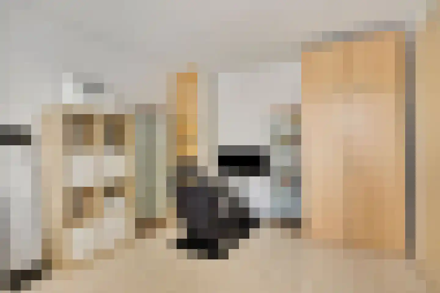 Hagesteinstraat 60 Zoetermeer thumbnail 27